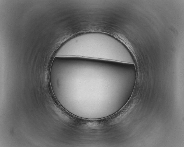 X0000112470441200908170954