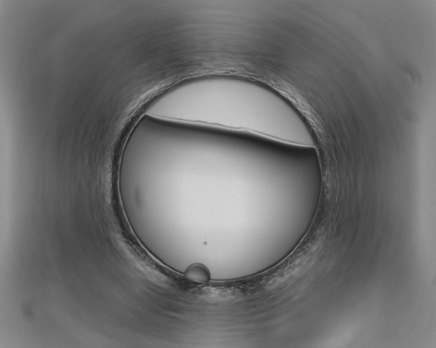 X0000112470442200908170954