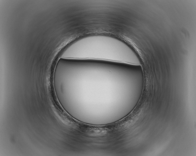 X0000112470443200908170954