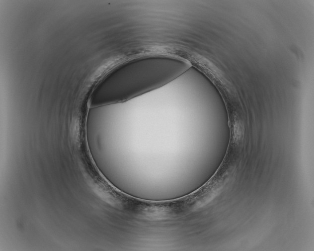 X0000112470444200908170954