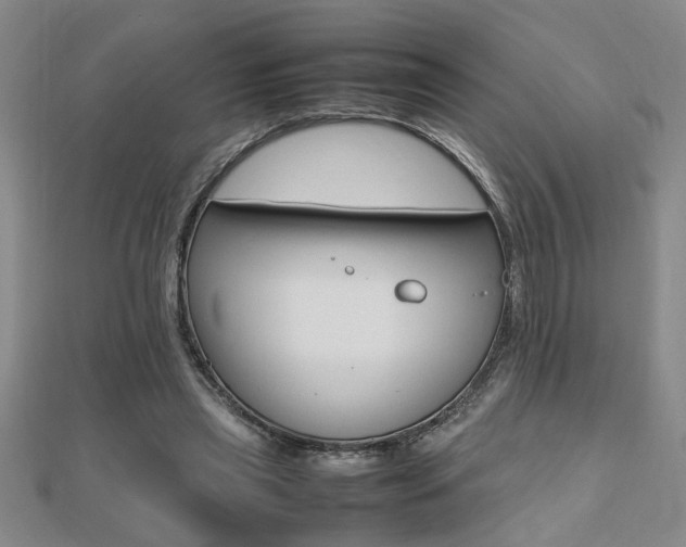 X0000112470445200908170954