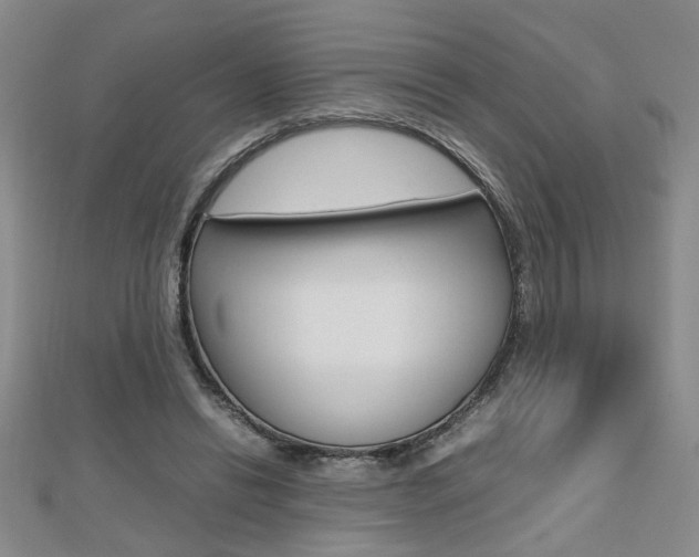 X0000112470446200908170954