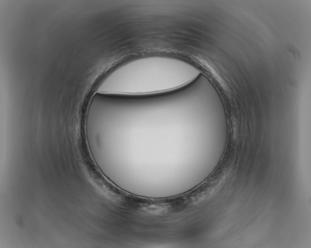 X0000112470447200908170954