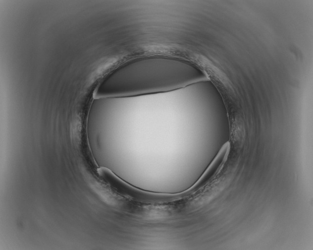 X0000112470448200908170954