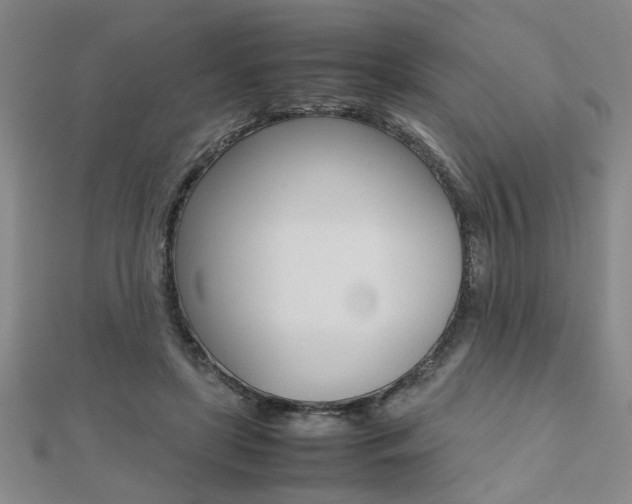 X0000112470451200908170954