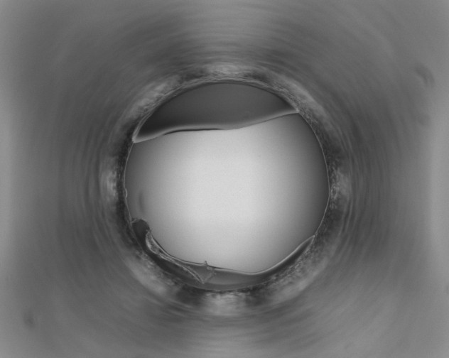 X0000112470452200908170954