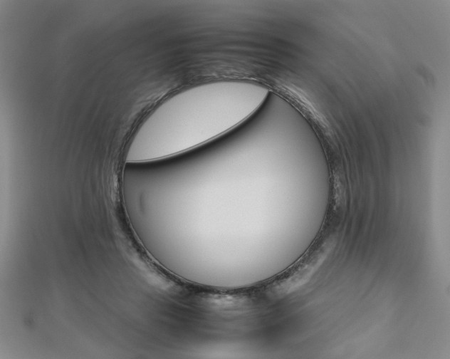 X0000112470453200908170954