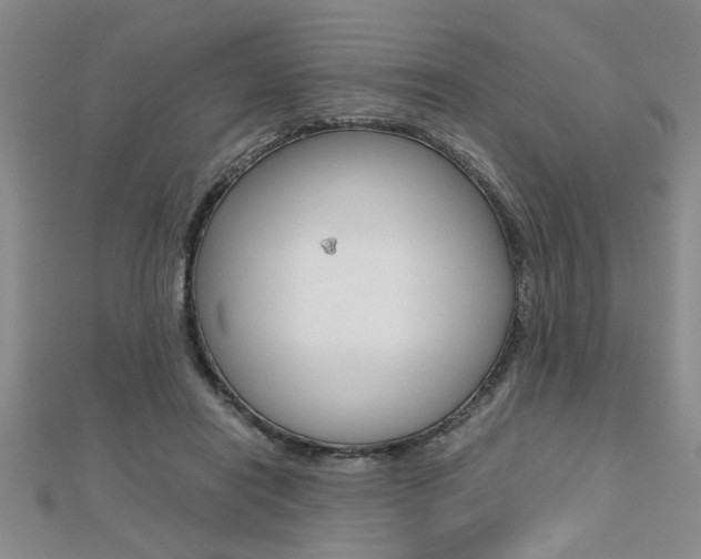 X0000112470454200908170954