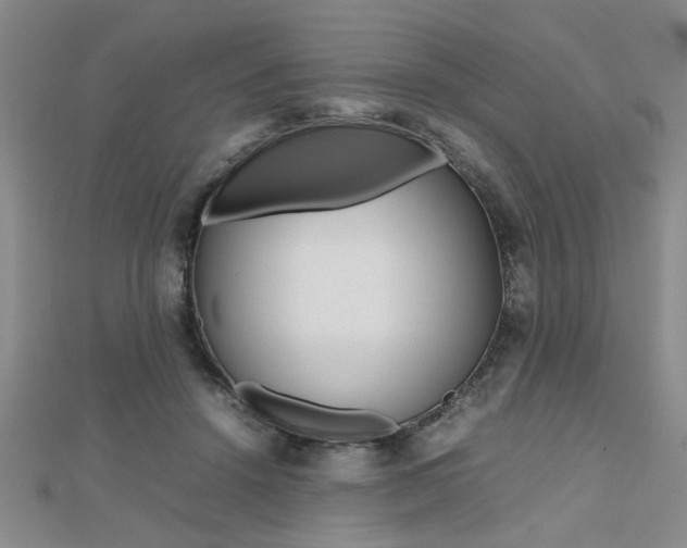 X0000112470456200908170954