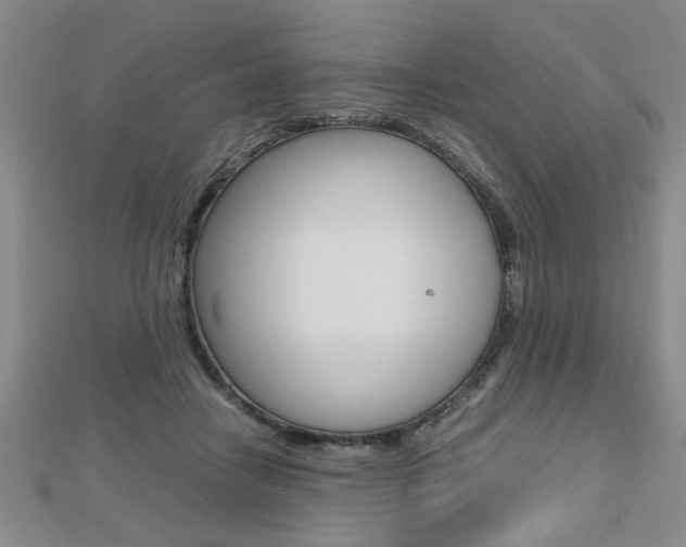 X0000112470458200908170954