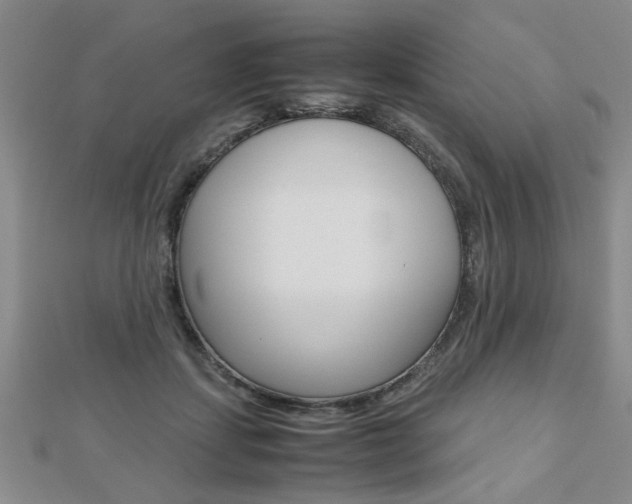 X0000112470459200908170954