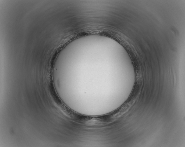 X0000112470460200908170954