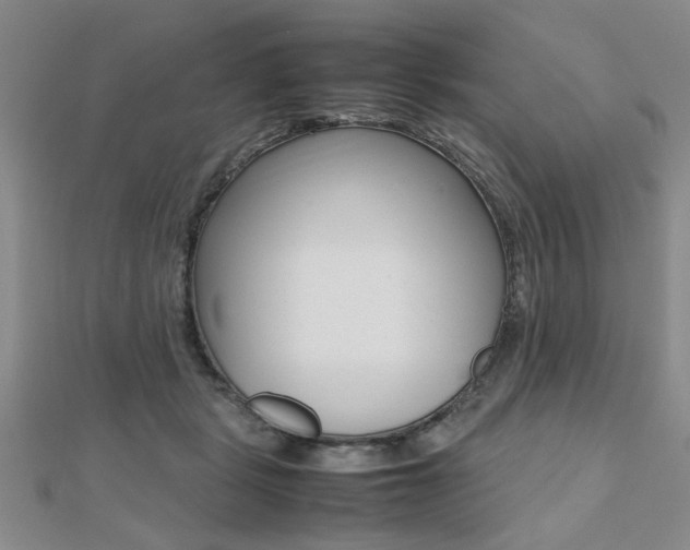 X0000112470461200908170954
