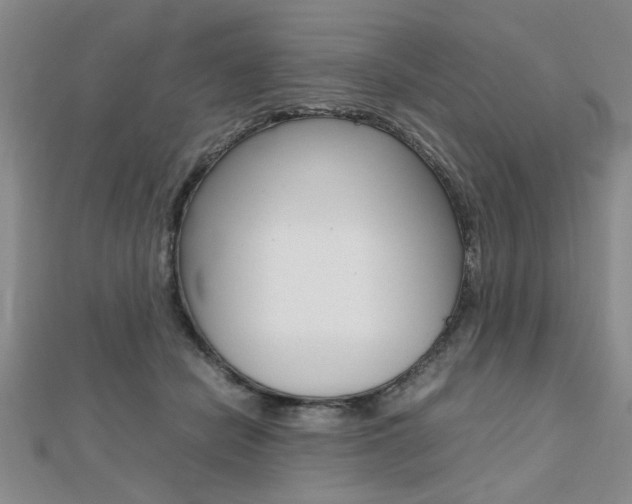 X0000112470462200908170954