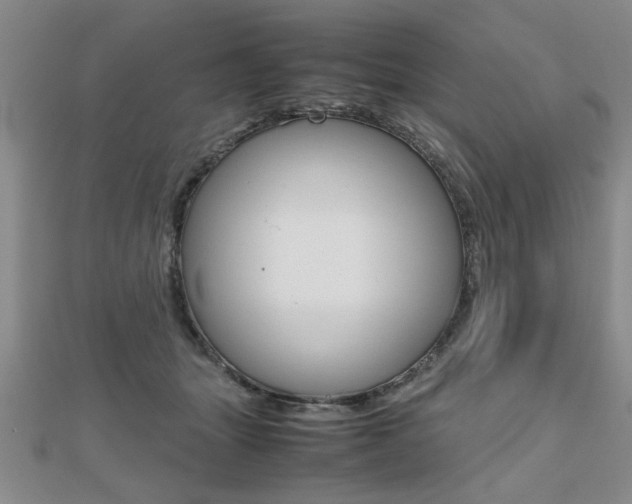 X0000112470463200908170954