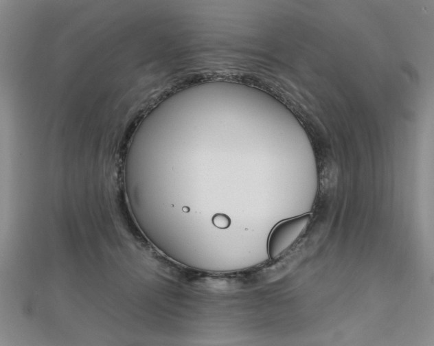 X0000112470464200908170954