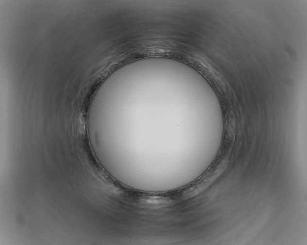 X0000112470467200908170954