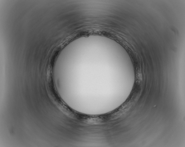 X0000112470468200908170954