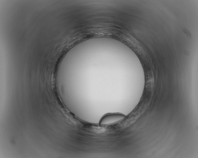 X0000112470469200908170954