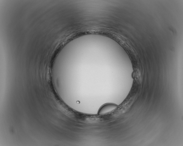 X0000112470470200908170954
