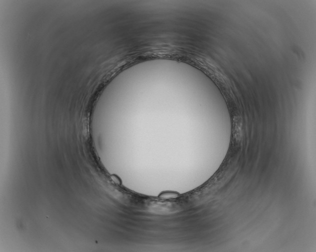 X0000112470471200908170954