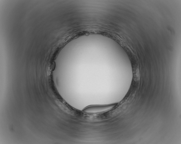 X0000112470472200908170954