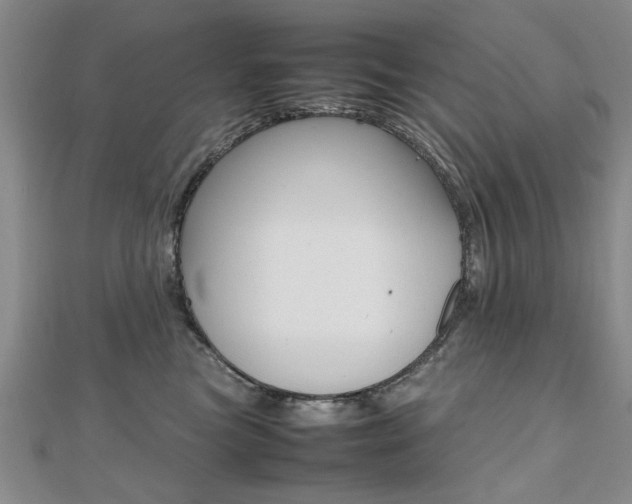 X0000112470473200908170954