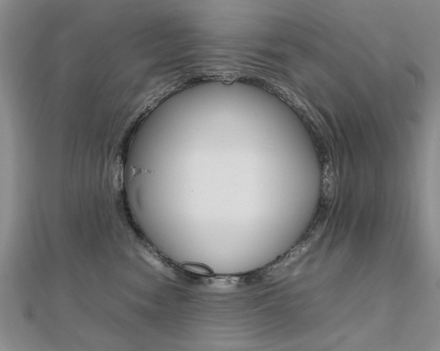 X0000112470474200908170954