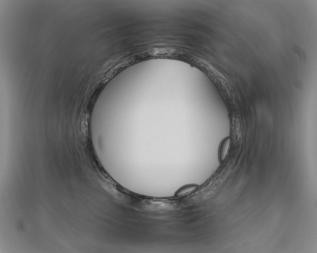 X0000112470475200908170954