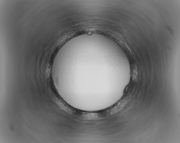 X0000112470476200908170954