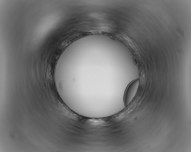 X0000112470477200908170954