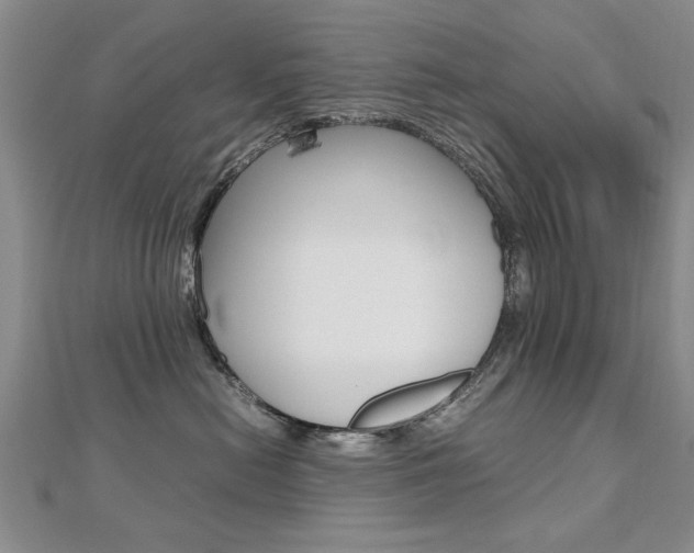 X0000112470478200908170954