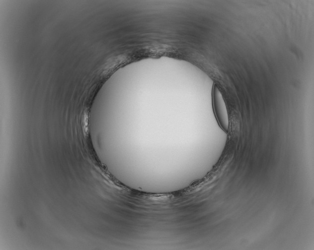 X0000112470479200908170954