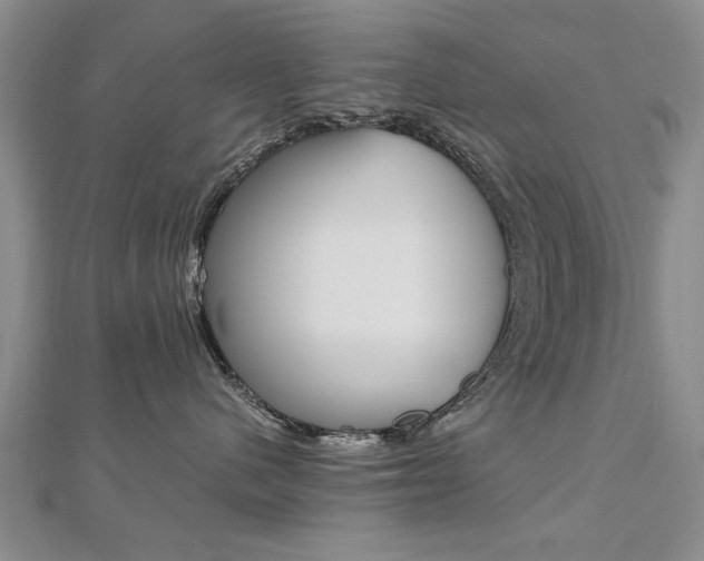 X0000112470480200908170954