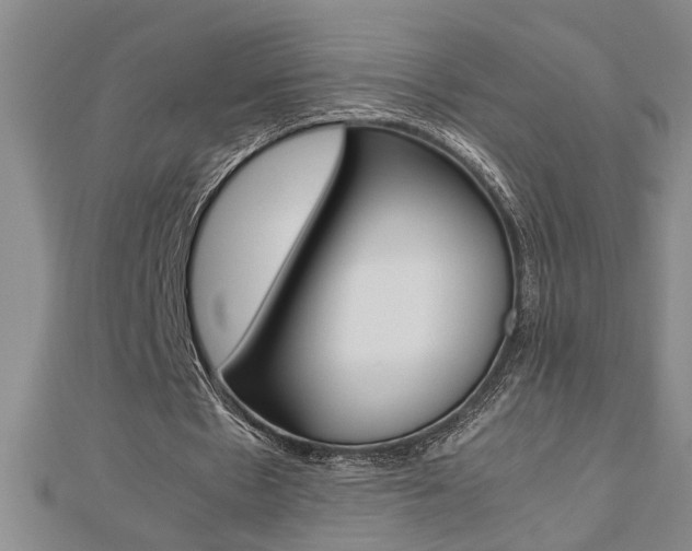 X0000112470481200908170954