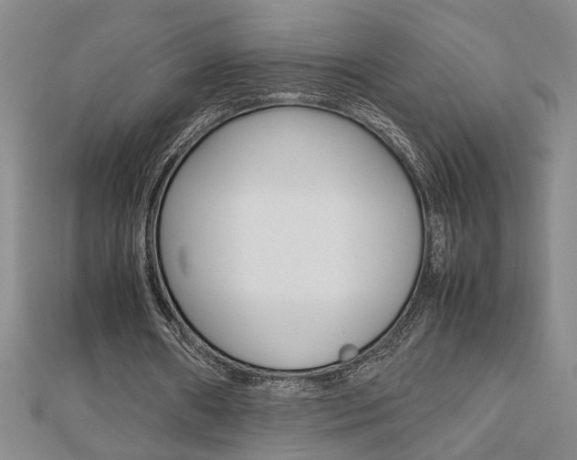 X0000112470482200908170954