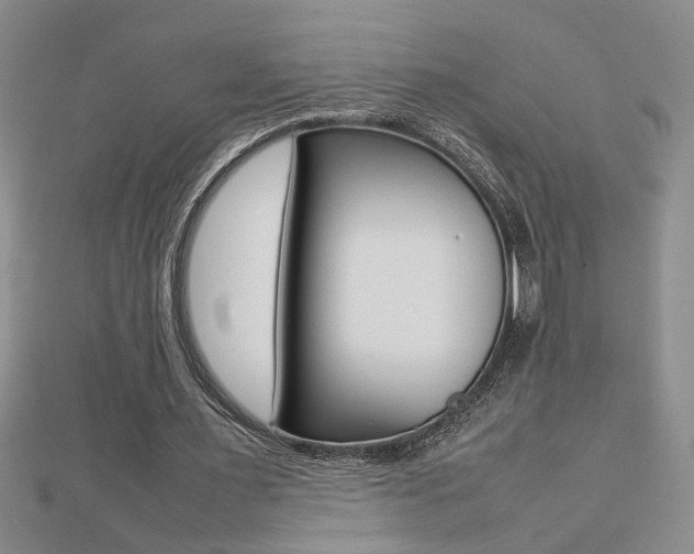 X0000112470483200908170954