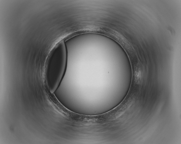 X0000112470484200908170954
