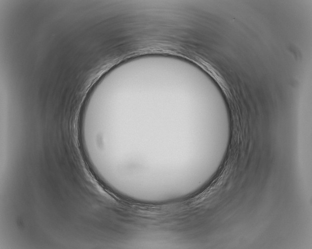 X0000112470485200908170954