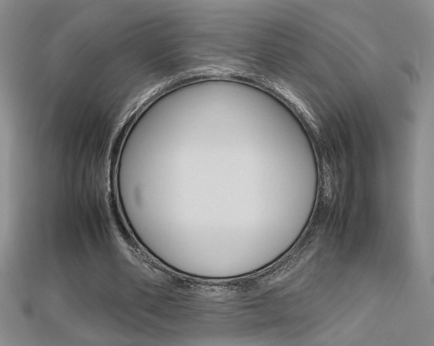 X0000112470486200908170954