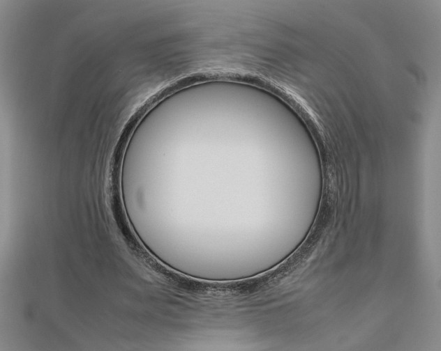X0000112470487200908170954