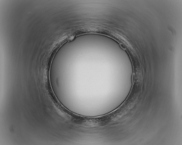 X0000112470489200908170953