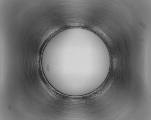 X0000112470490200908170953