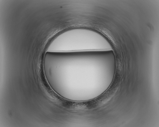 X0000112470491200908170953