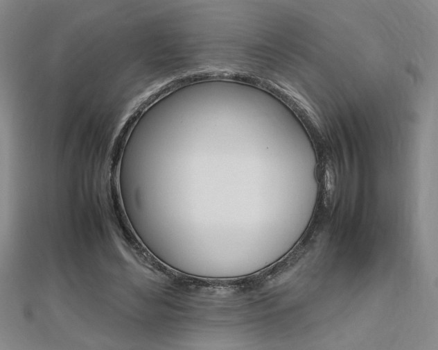 X0000112470492200908170953