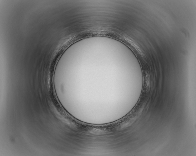 X0000112470494200908170953