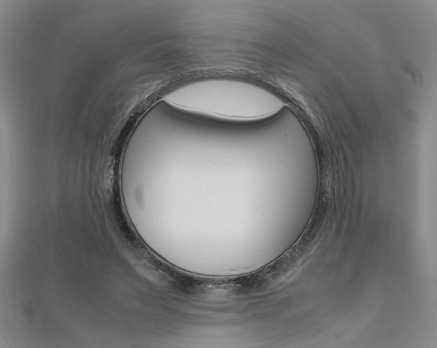 X0000112470495200908170953