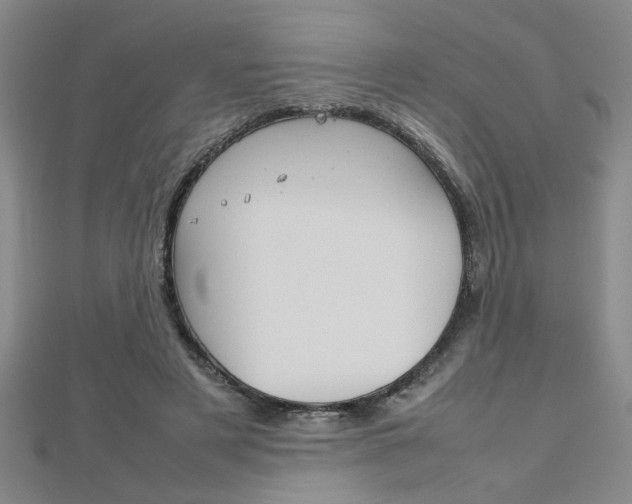 X0000112470497200908170953