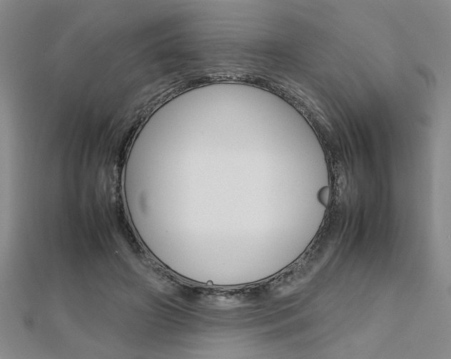 X0000112470498200908170953