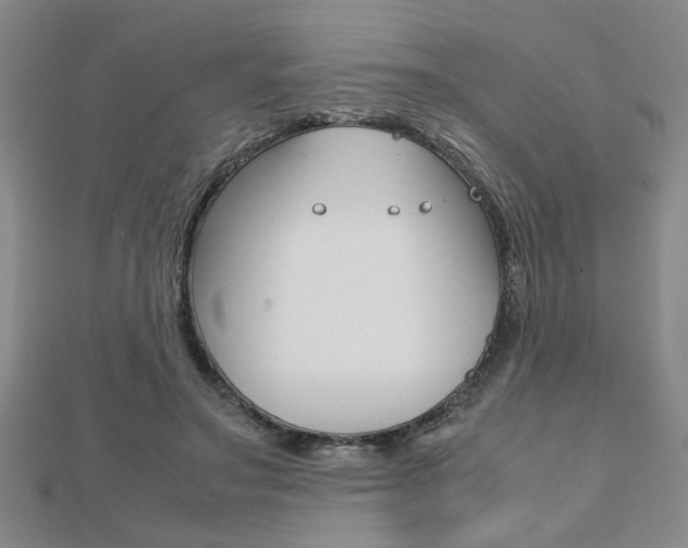 X0000112470499200908170953